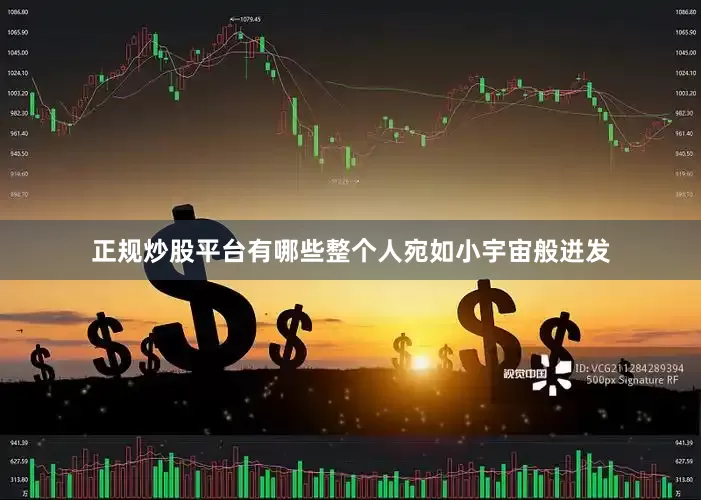 正规炒股平台有哪些整个人宛如小宇宙般迸发