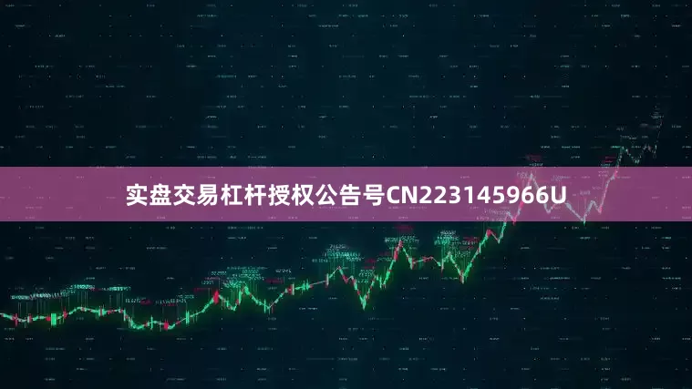 实盘交易杠杆授权公告号CN223145966U