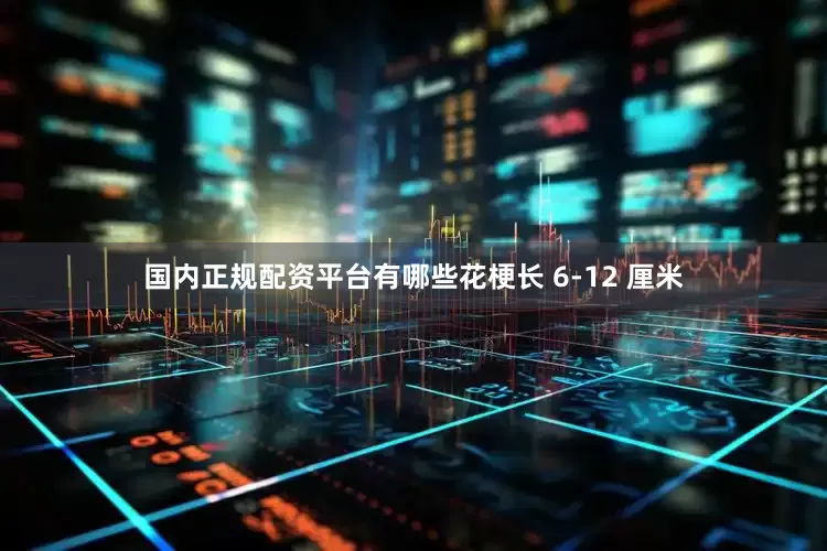 国内正规配资平台有哪些花梗长 6-12 厘米